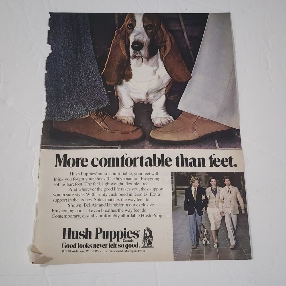 Vintage 1978 Hush Puppies Print Ad Basset Hound More Comfortable Than Feet 8x11